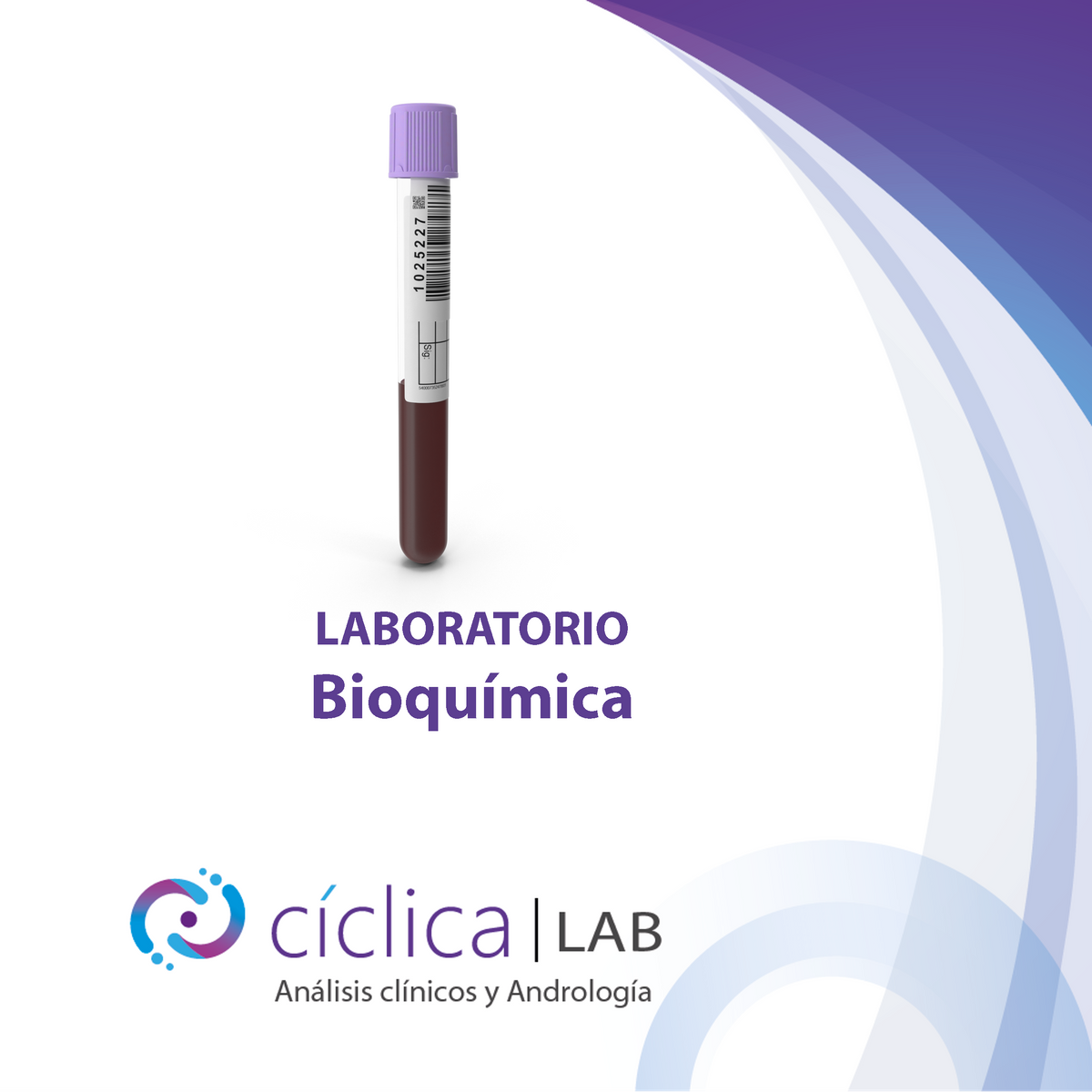 Bioquimica Ciclicamed 3622