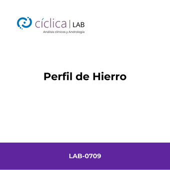 LAB-0709 PERFIL DE HIERRO